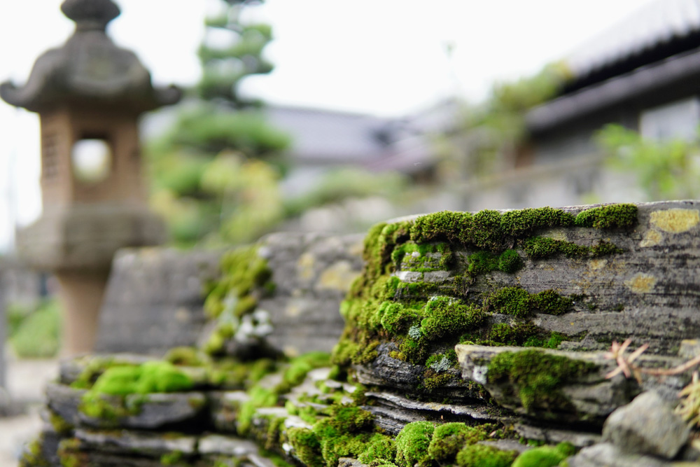 A shrine near Tsuruoka, home to the Dewa Sanzan