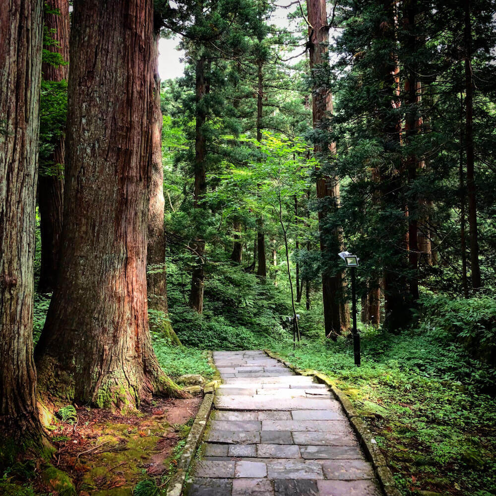 The Stone Stairway up Mt. Haguro of the Dewa Sanzan