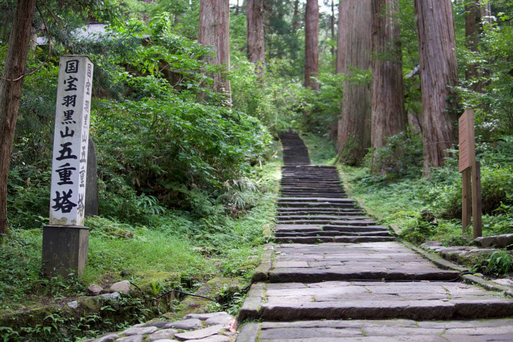 Stone Steps up Mt. Haguro that Matsuo Basho would have climbed