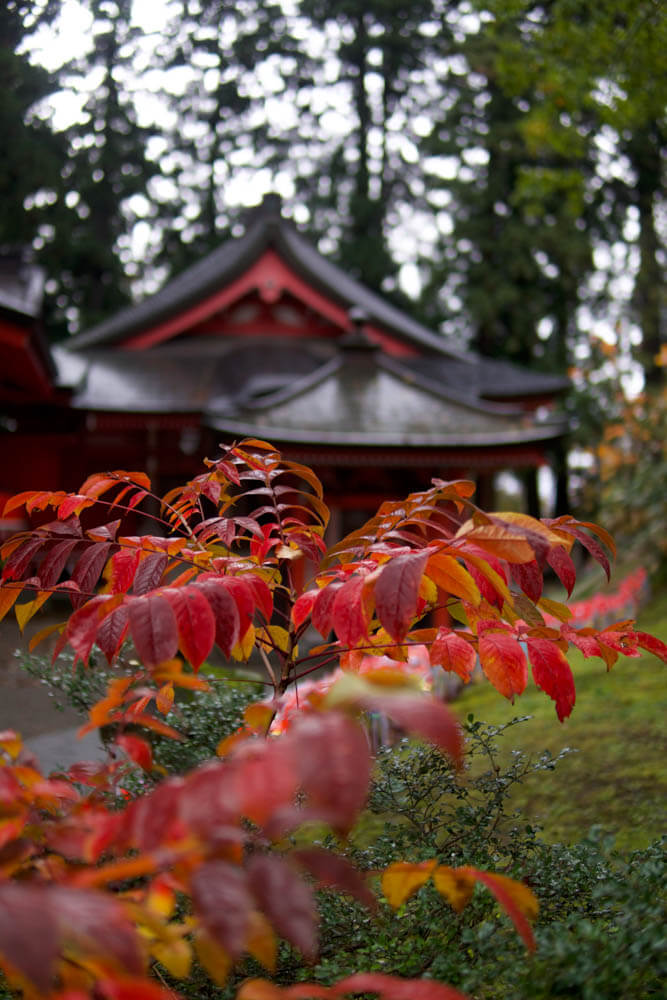 Reisaiden Shrine at the top of Mt. Haguro where the Dewa Sanzan Festival of Flowers takes place