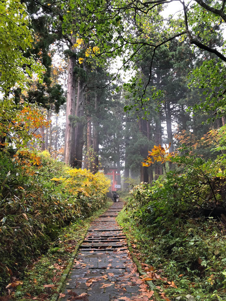 Torii Shrine gate and Stone Steps up Mt. Haguro of the Dewa Sanzan that Matsuo Basho would have climbed