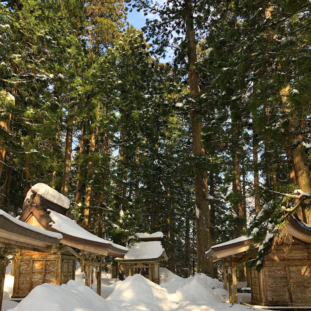 The path to the Mt. Haguro Five Story Pagoda inundated with snow in winter