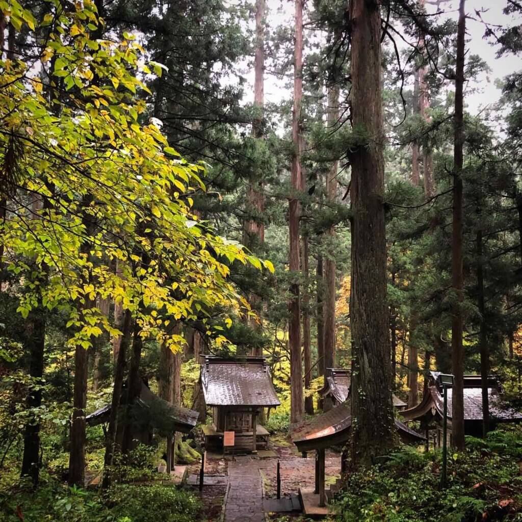 Massha shrines at the base of Mt. Haguro. Before 1868, this area would have been covered in Buddhist artifacts and temples.