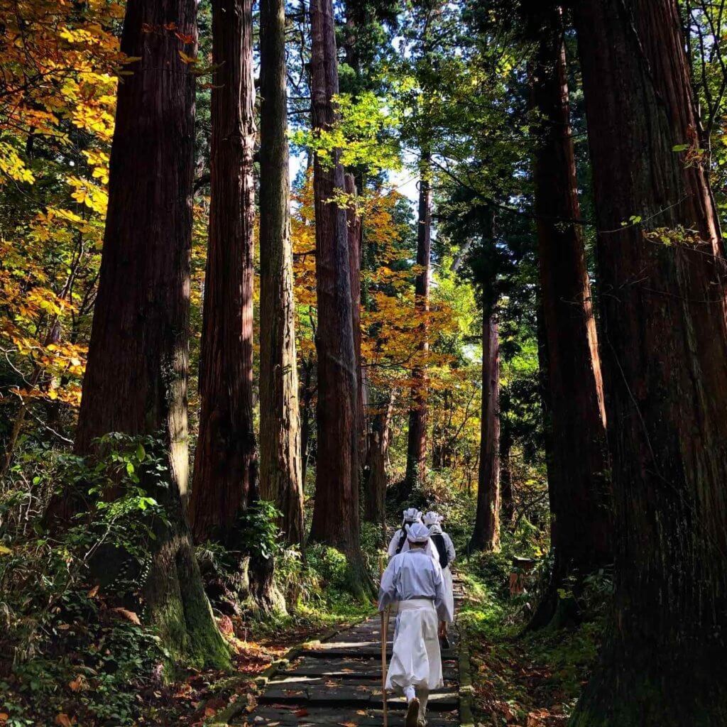 Yamabushi training on Mt. Haguro during autumn