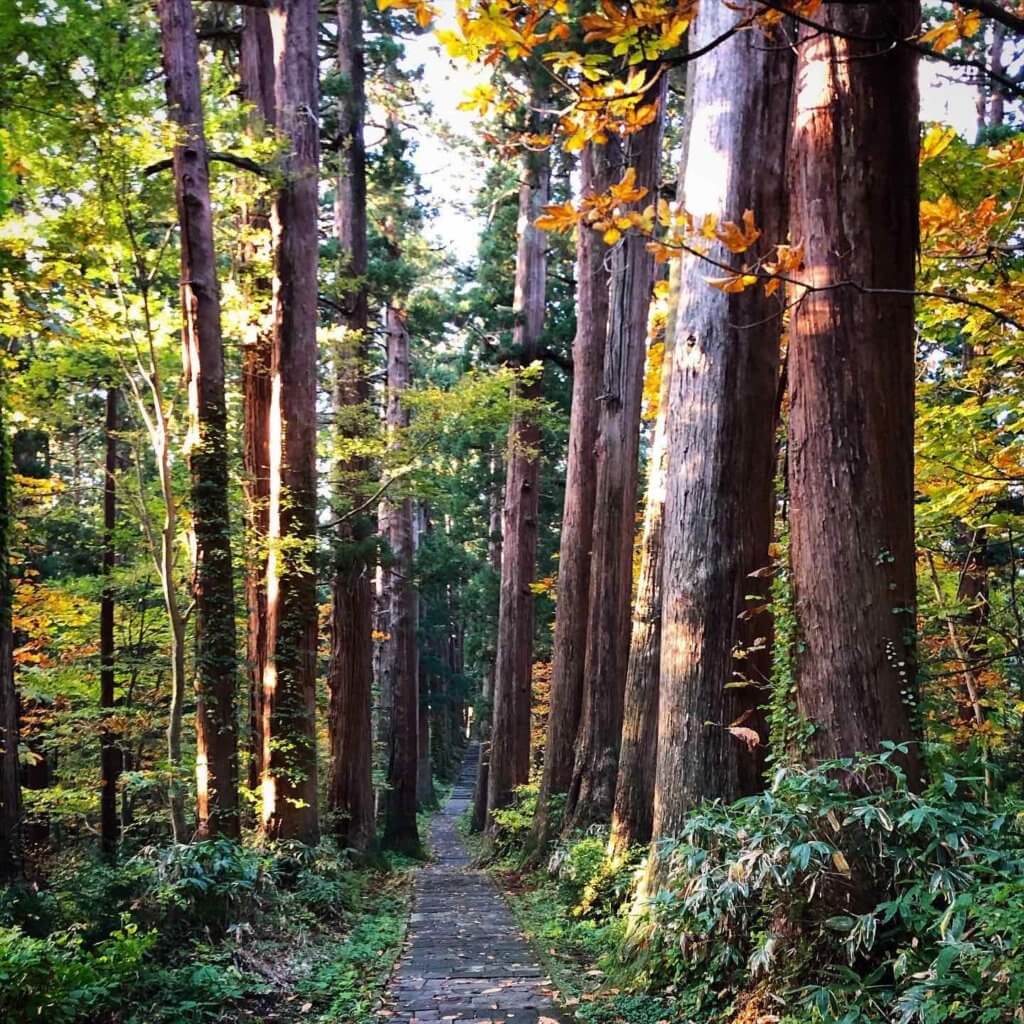 Mt. Haguro of the Dewa Sanzan in Autumn