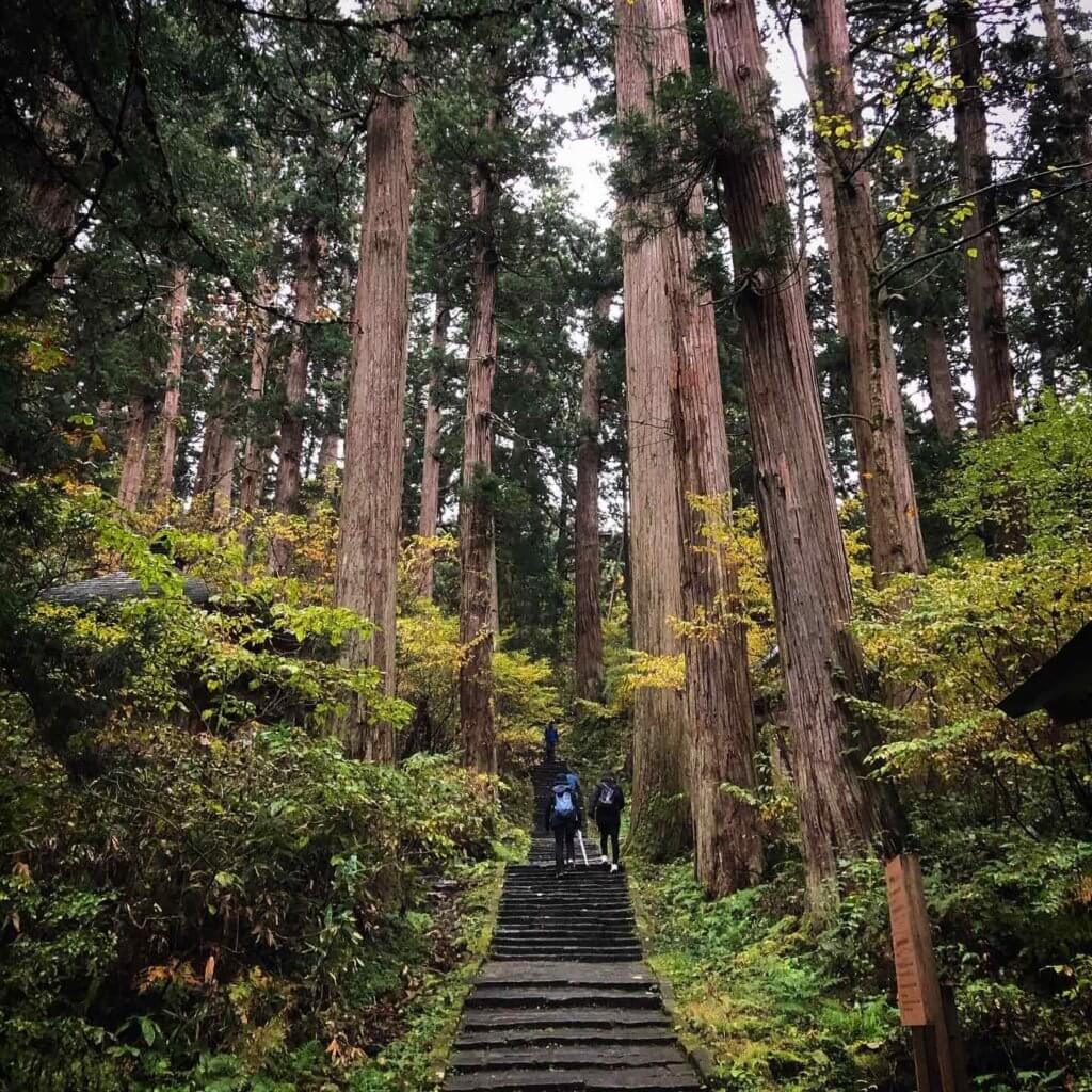 The stone stairway up Mt. Haguro