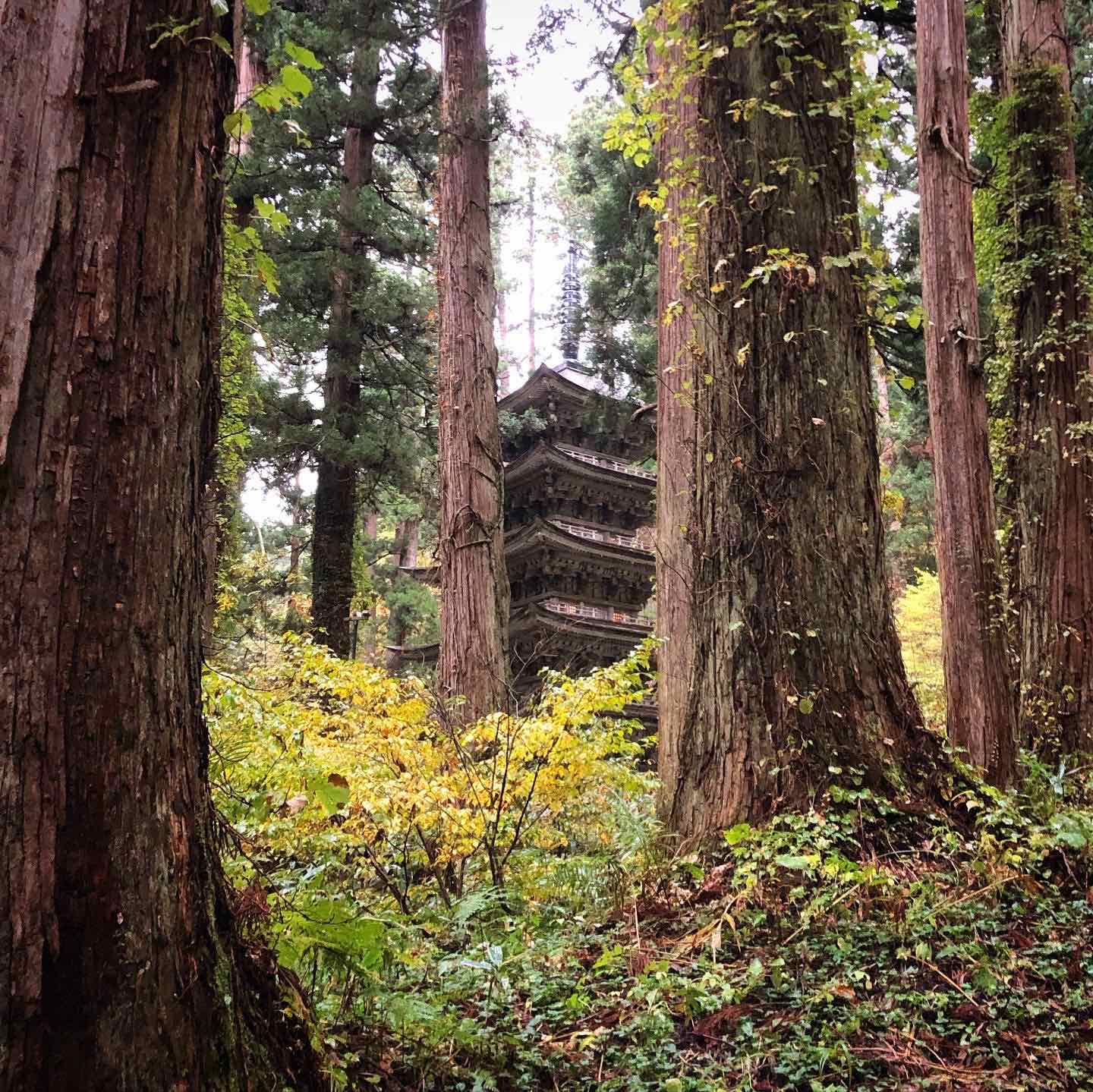 The Five Story Pagoda on Mt. Haguro