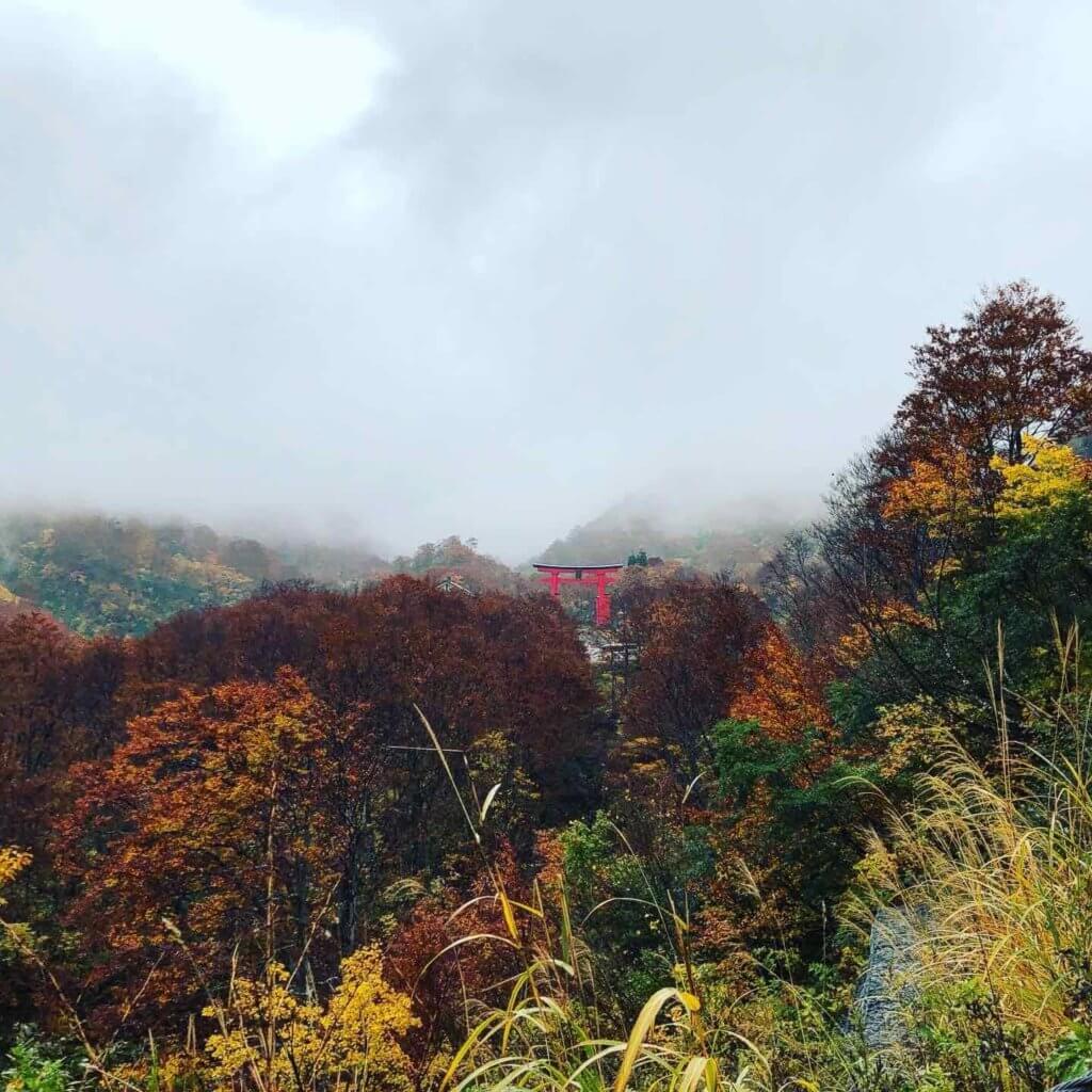 Sen'ninzawa on Mt. Yudono where Buddhist monks trained in the austerities on a mission to become Sokushinbutsu Living Buddha