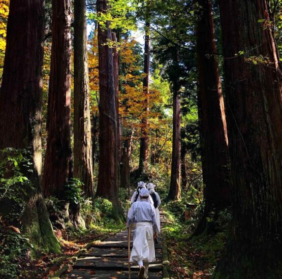 Yamabushi training on Mt. Haguro during autumn