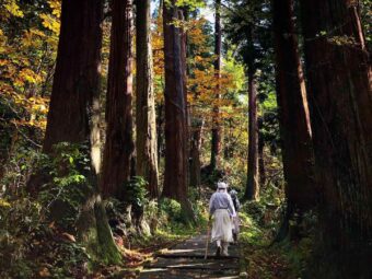 Yamabushi train on Mt. Haguro of the Dewa Sanzan