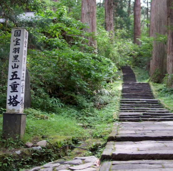 Stone Steps up Mt. Haguro of the Dewa Sanzan that Matsuo Basho would have climbed